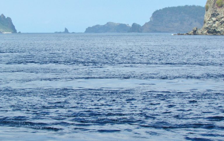 潮目ってどういう意味?海釣りでの重要性やどこで発生するか・見分け方を解説 | 釣りラボマガジン