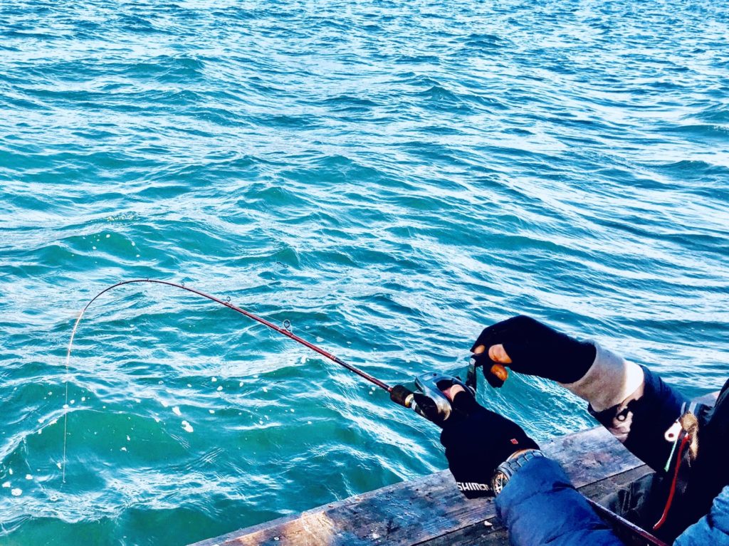 筏(イカダ)釣りとは？釣り方やおすすめの仕掛け・タックル・持ち物をご紹介 | 釣りラボマガジン