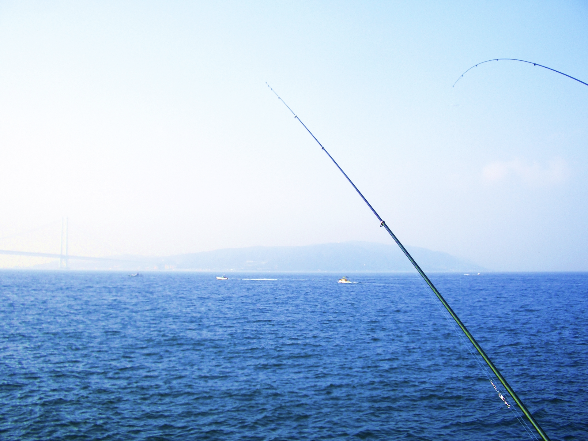 海釣り
