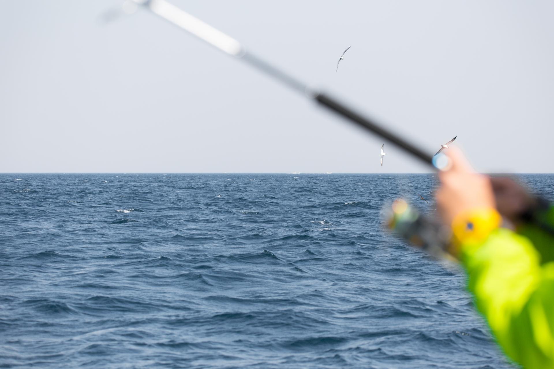 船釣り 沖釣り のやり方とは おすすめの服装や持ち物 船の予約方法をご紹介 釣りラボマガジン