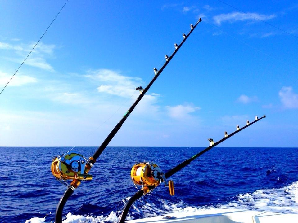 21年 ロッドおすすめ人気ランキング25選 釣りスタイル ターゲット別にご紹介 釣りラボマガジン