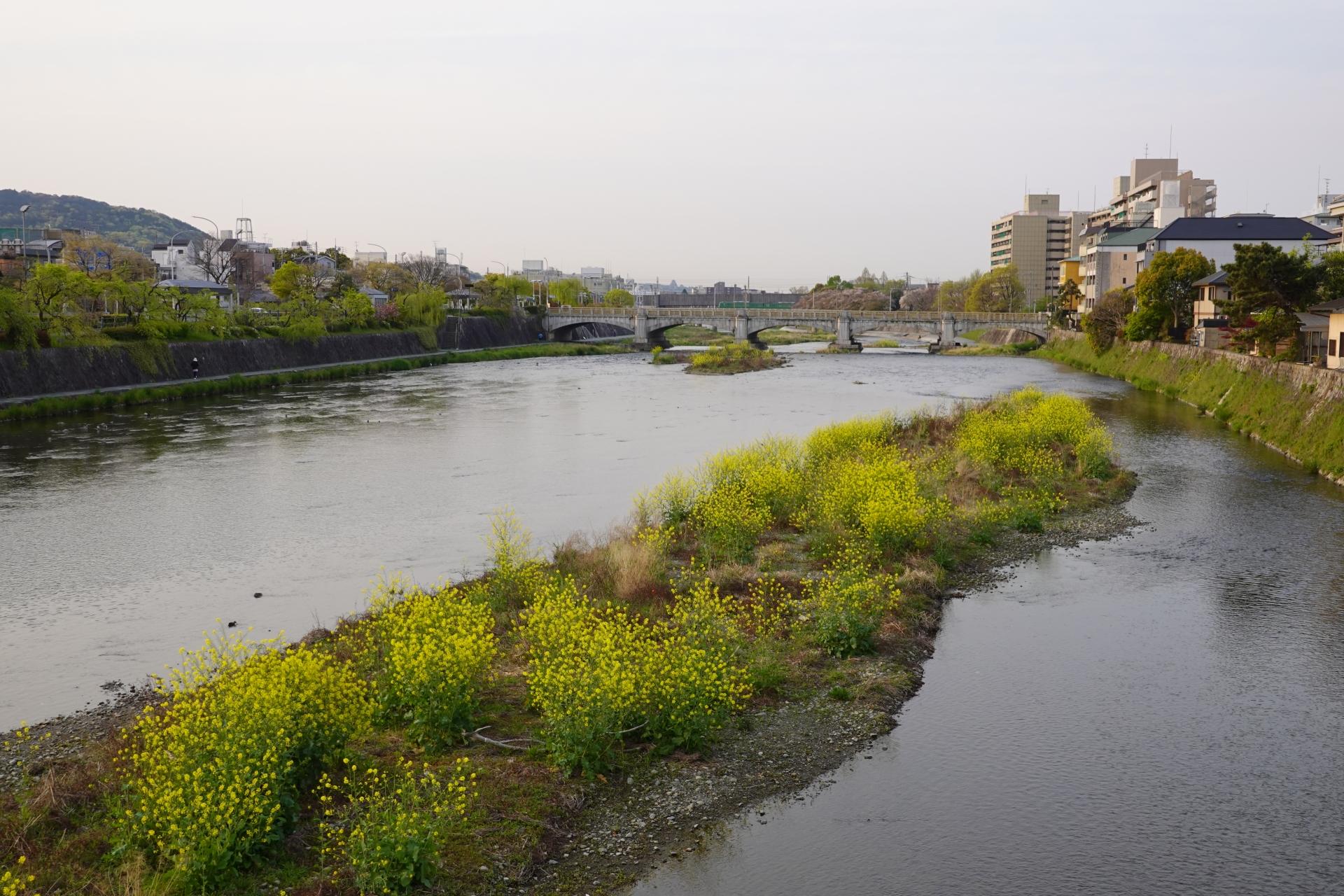 川釣り
