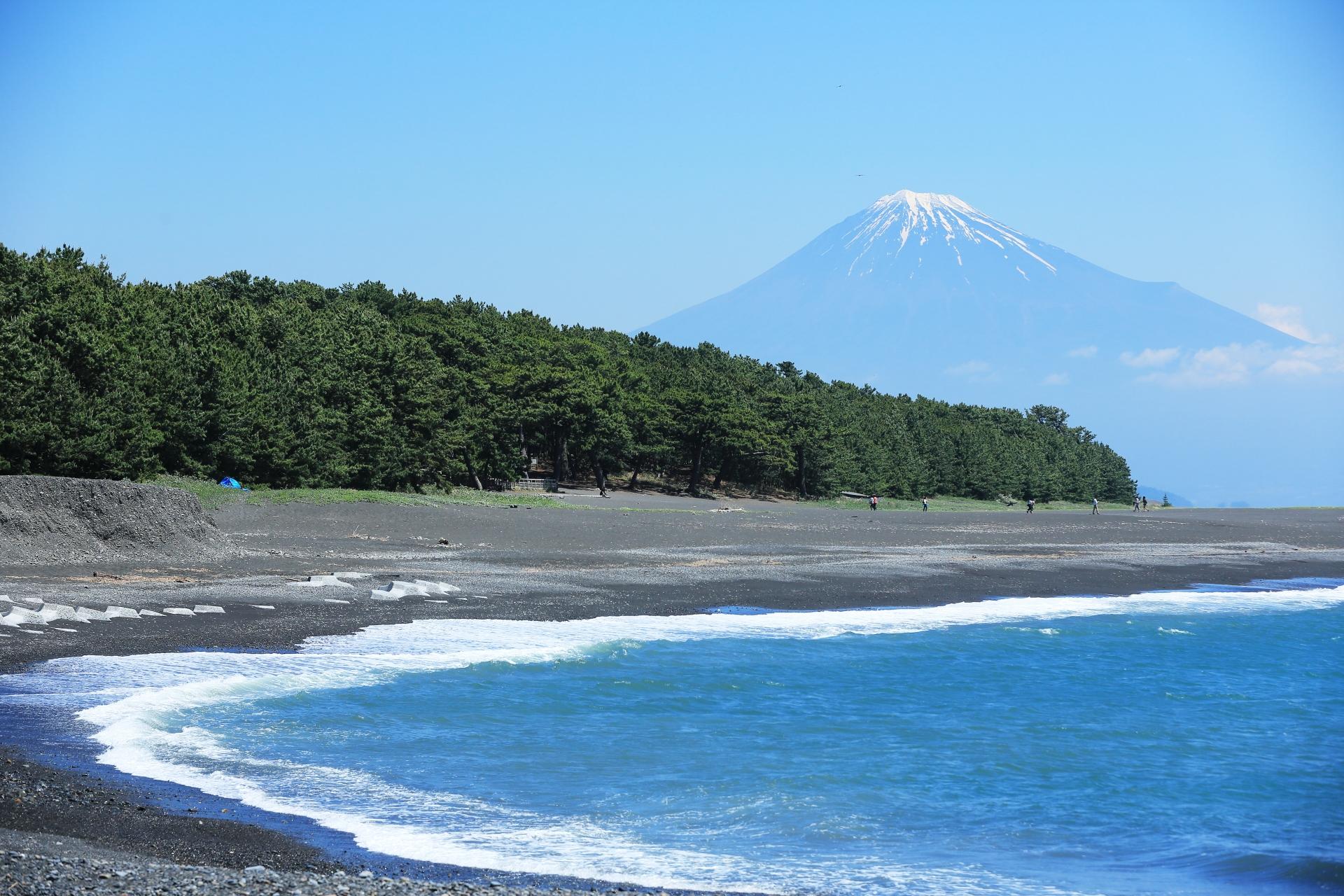ウルメイワシ ウルメイワシ