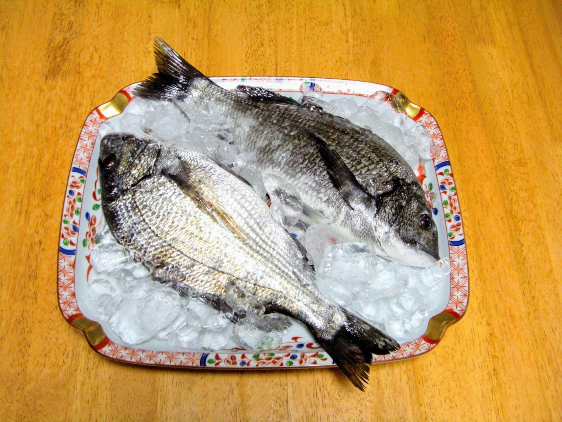 ヘチ釣り ヘチ釣り