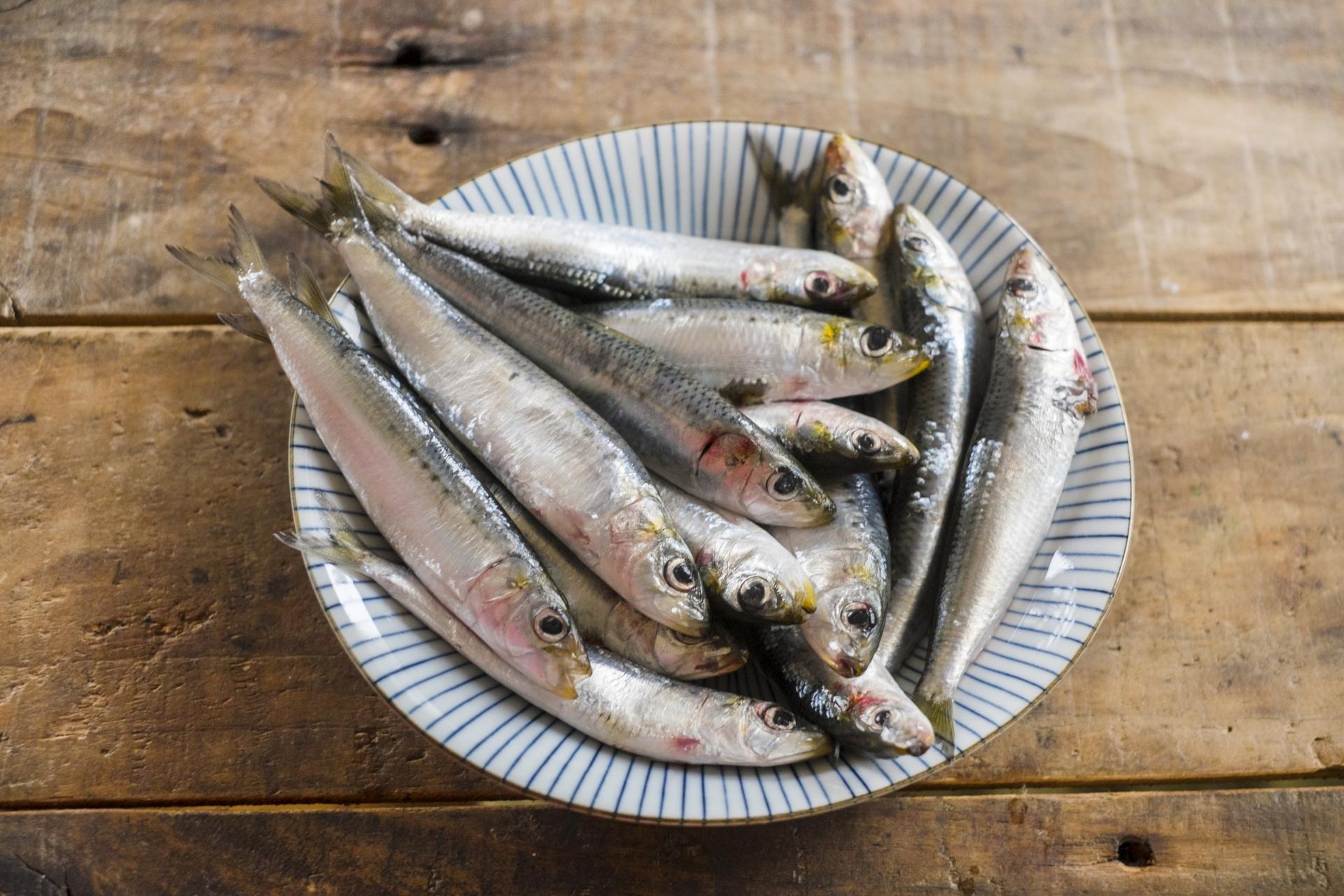 泳がせ釣り 泳がせ釣り