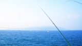 石ゴカイの付け方 保存方法をご紹介 釣れる魚 値段 採取方法 釣りラボマガジン