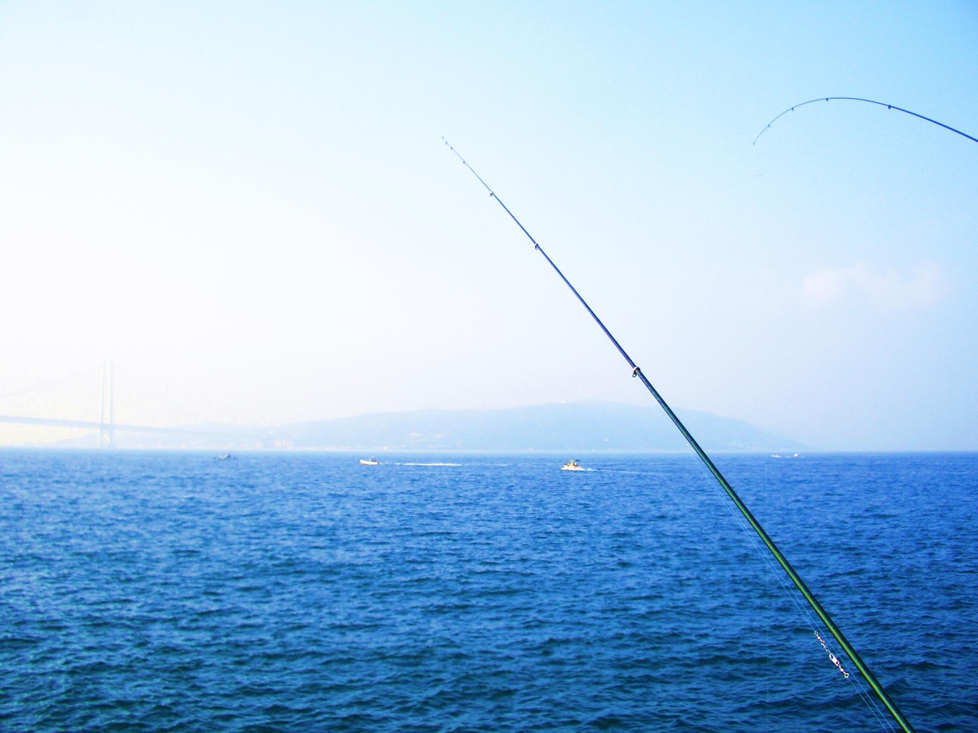 初心者必見 海釣りにおすすめの餌を徹底解説 付け方 仕掛け方 釣れる魚も紹介 釣りラボマガジン