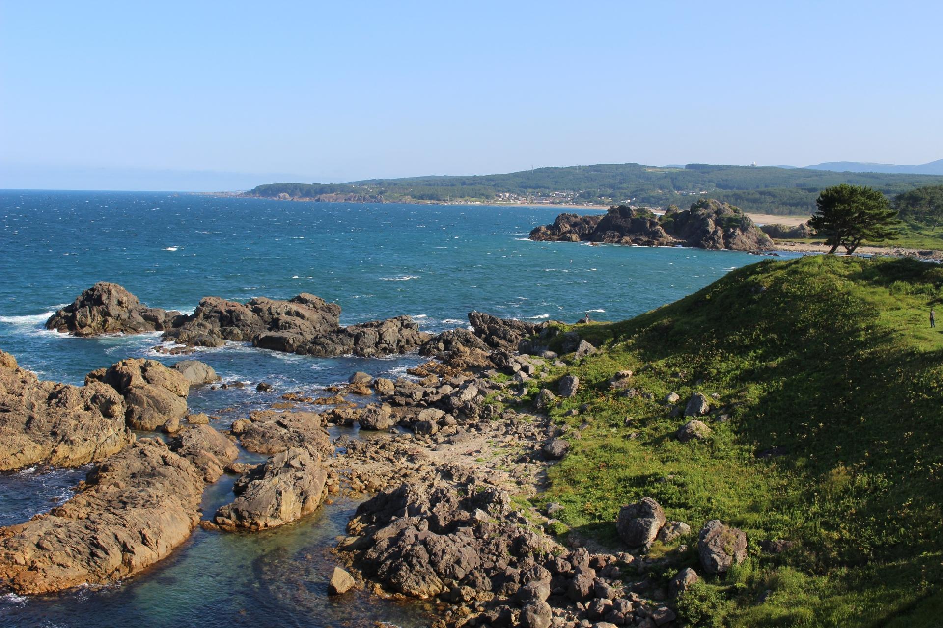 釣り餌 釣り餌
