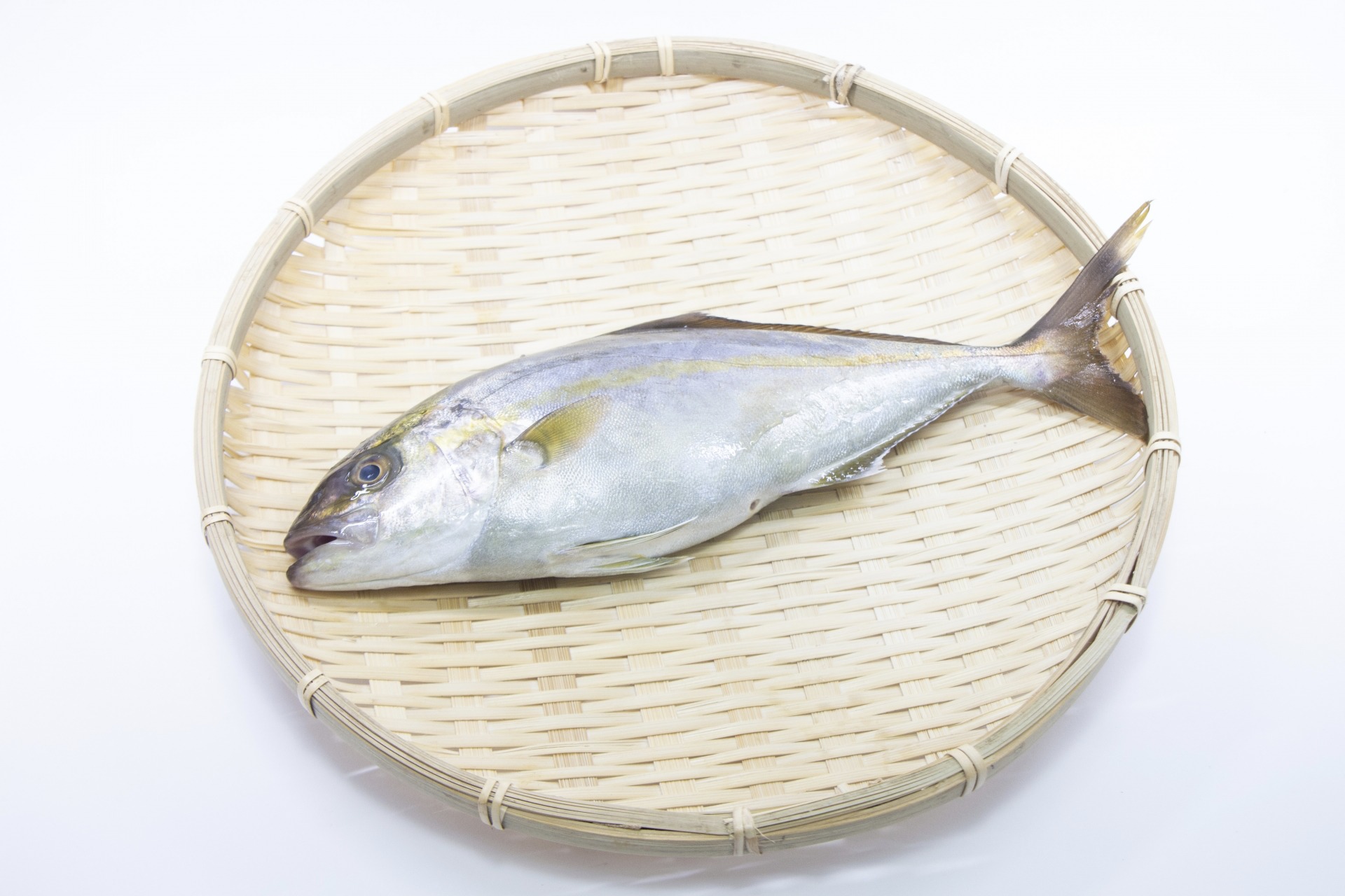 ショゴとはカンパチの若魚 刺身や塩焼きが美味しい魚の釣り方 レシピをご紹介 釣りラボマガジン