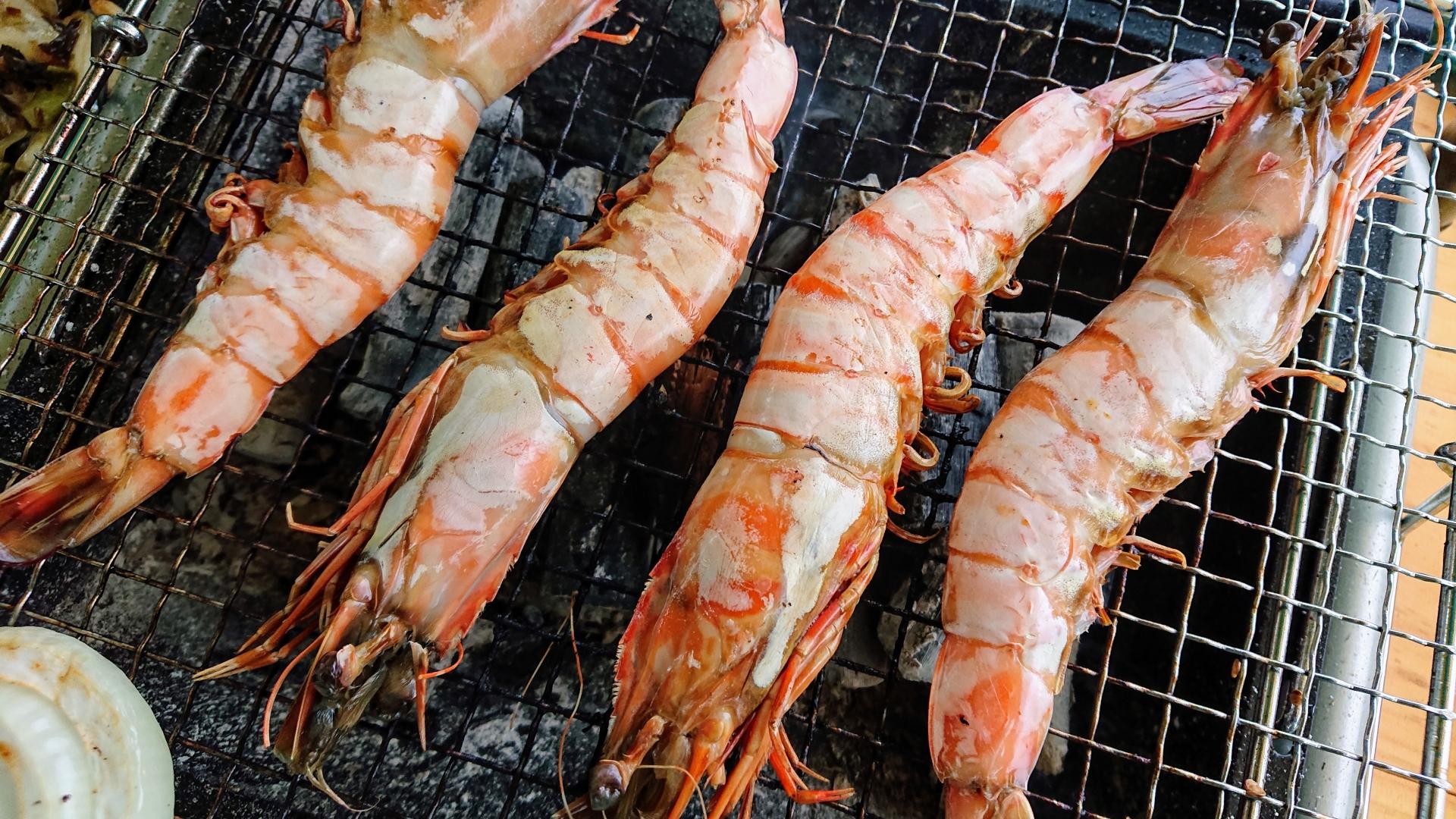 エビ エビ