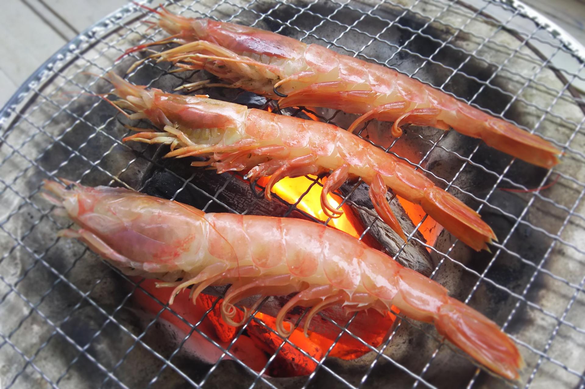 エビの種類をできるだけご紹介 食用から川 淡水に生息する観賞 飼育用も 釣りラボマガジン