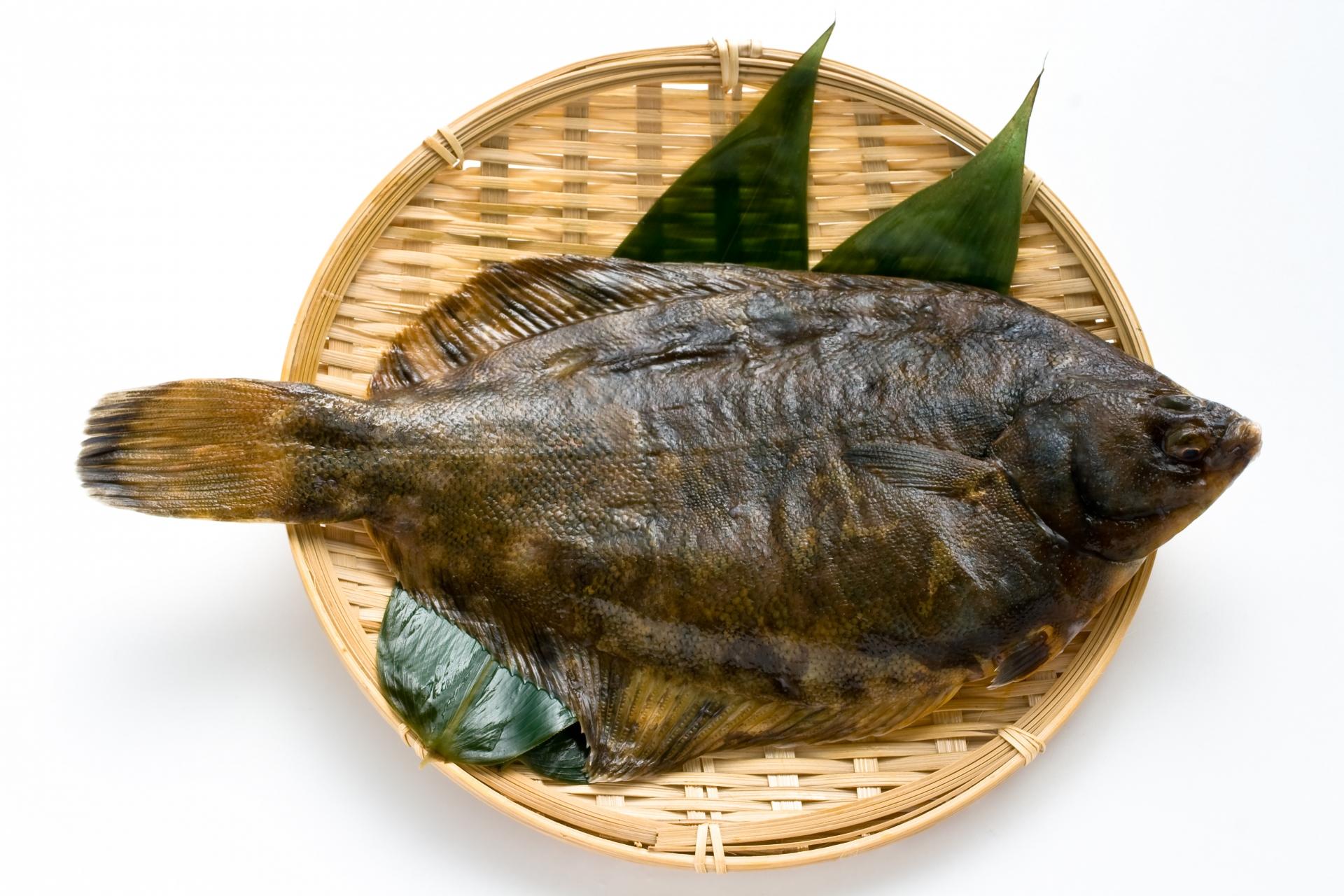 魚へんに 葉 蝶 でなんと読む 鰈 の正しい読み方 由来をご紹介 魚へんの漢字辞典 釣りラボマガジン