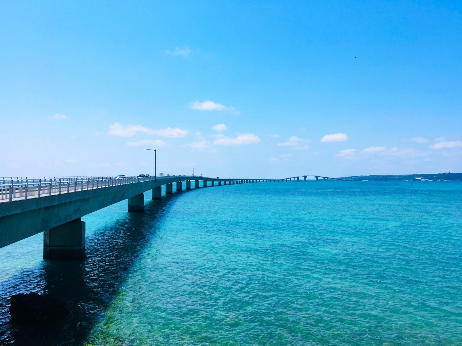シマアジ シマアジ
