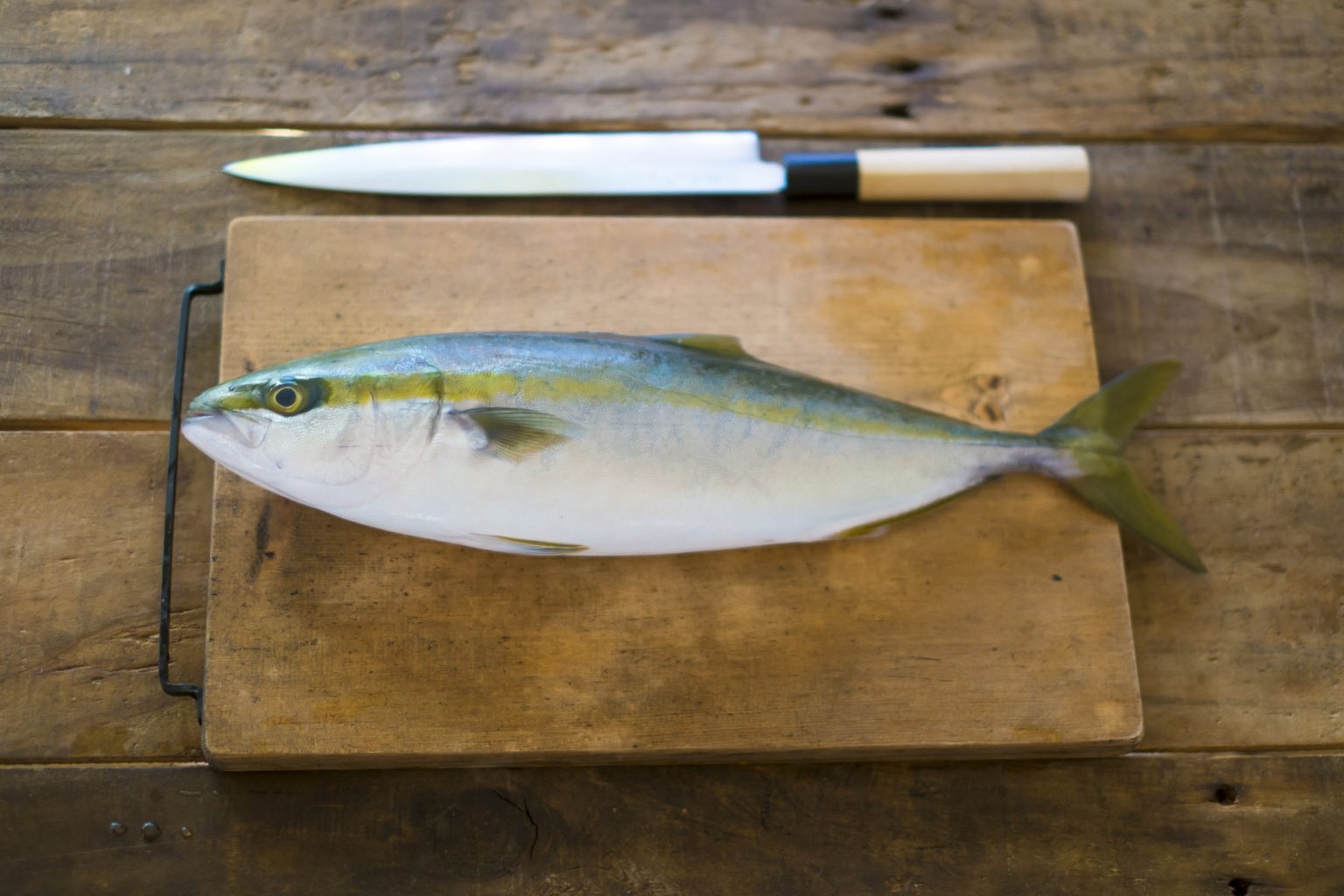 【出世魚イナダの基本知識】レシピ・旬な時期・釣り方・さばき方を解説！ | 釣りラボマガジン