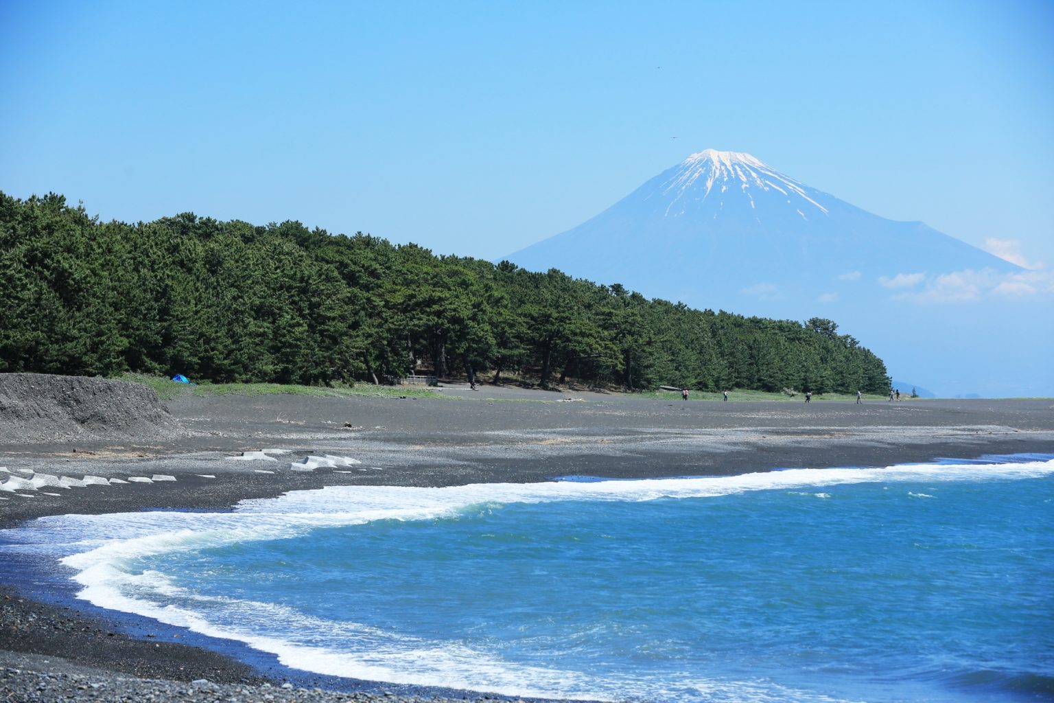 埼玉 管理 釣り場 ポータル