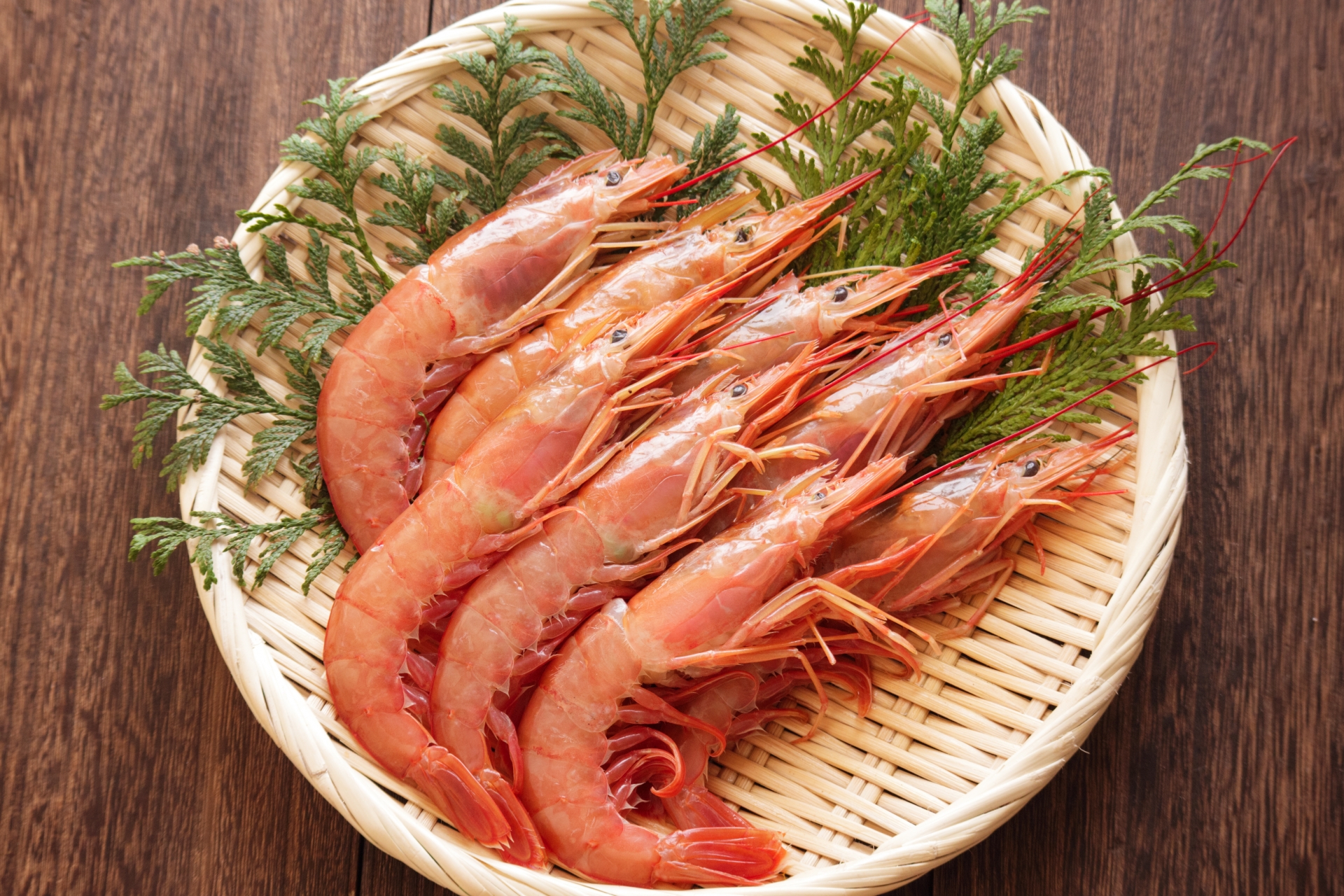 エビの種類をできるだけご紹介!食用から川・淡水に生息する観賞・飼育用も | 釣りラボマガジン