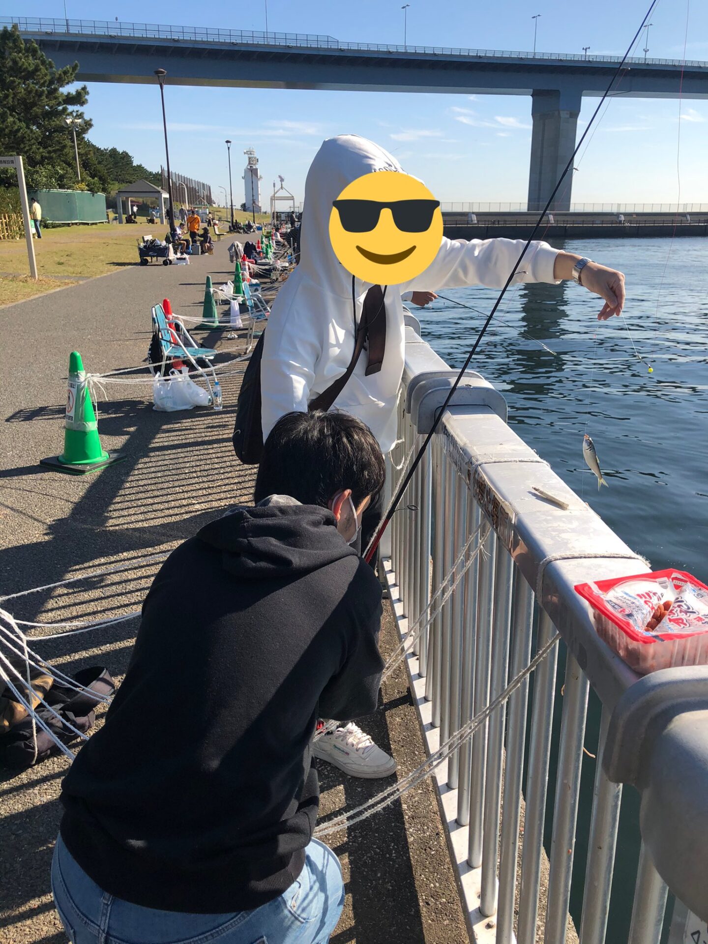 サークル おすすめ 自転車 大学 自由