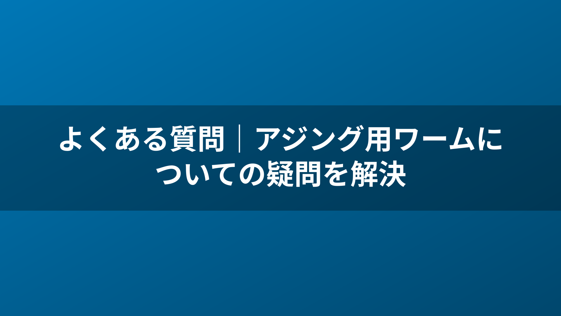 よくある質問|アジング用ワームについての疑問を解決