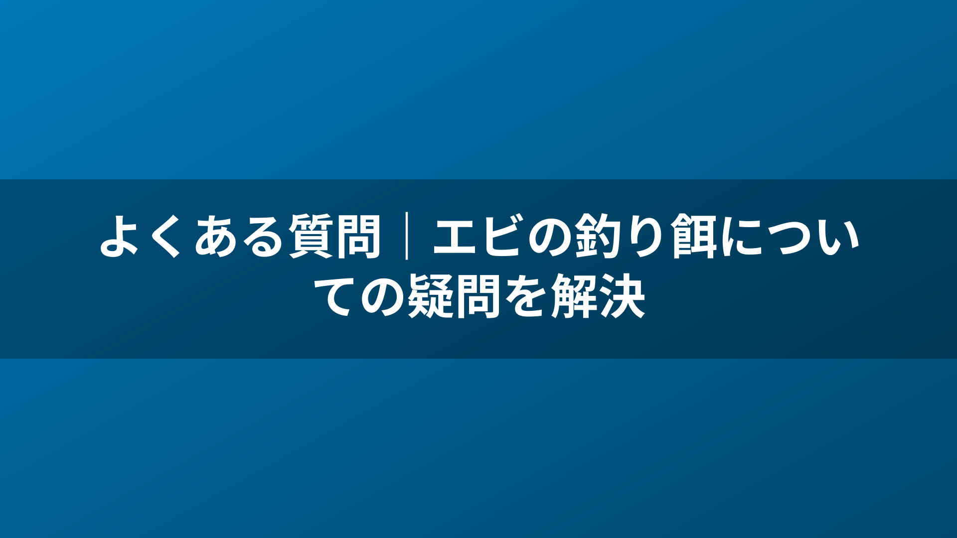 よくある質問|エビの釣り餌についての疑問を解決