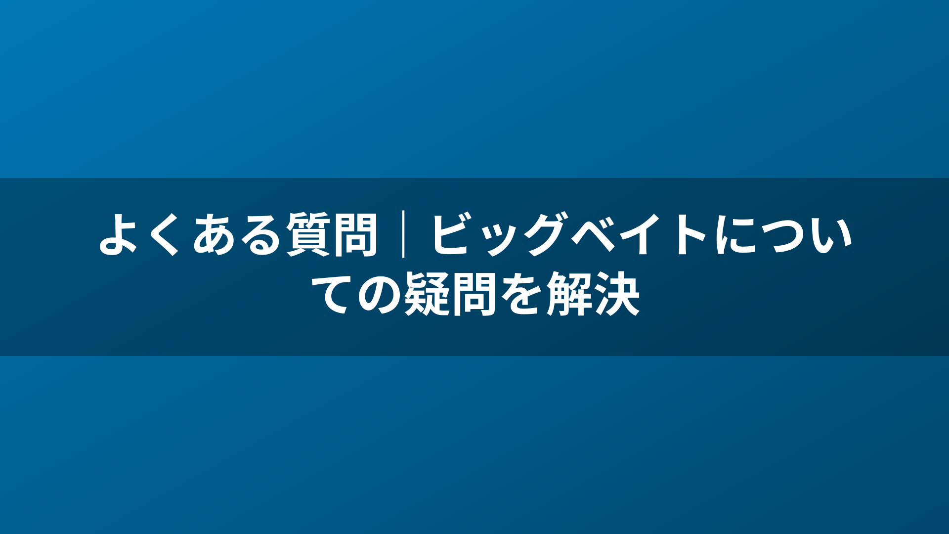 よくある質問|ビッグベイトについての疑問を解決