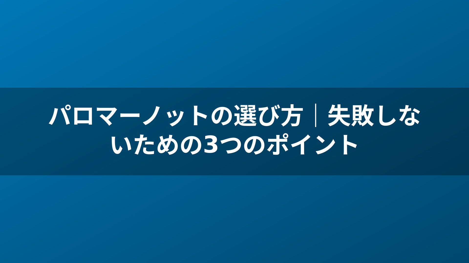 パロマーノットの選び方｜失敗しないための3つのポイント