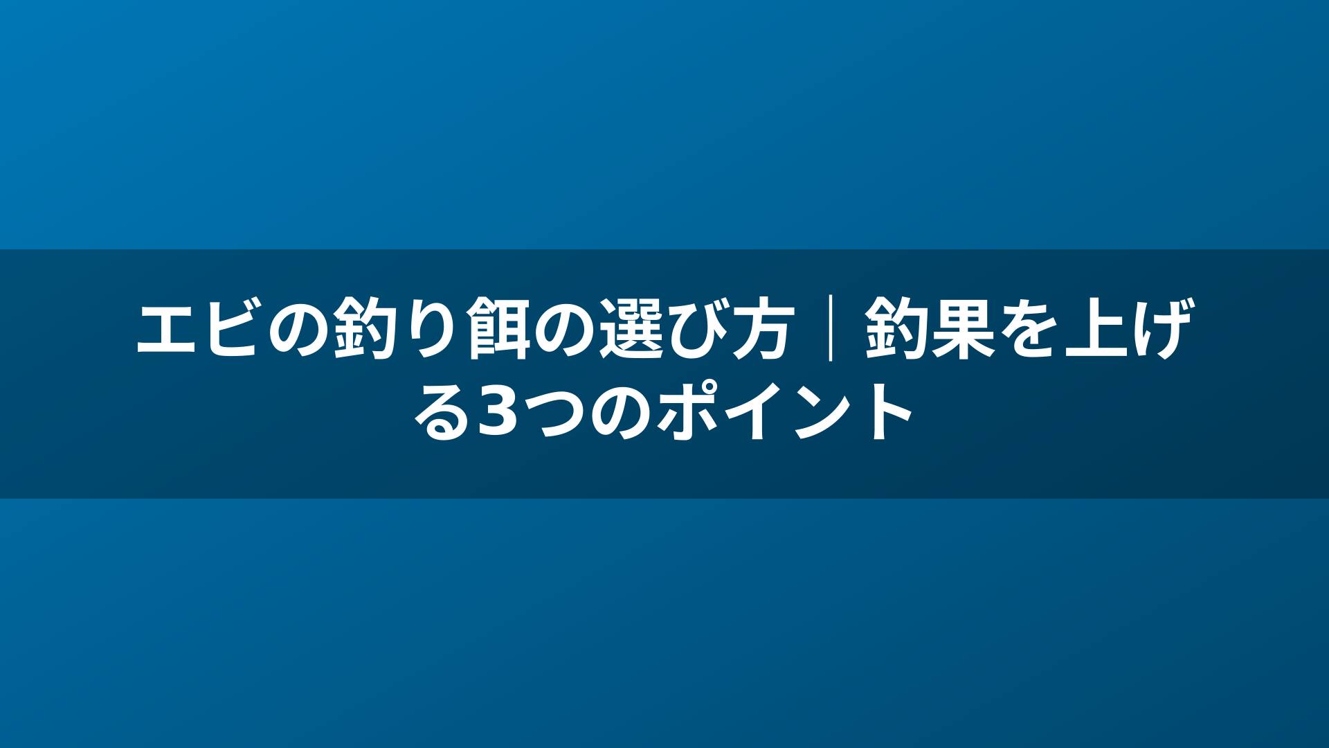 エビの釣り餌の選び方|釣果を上げる3つのポイント