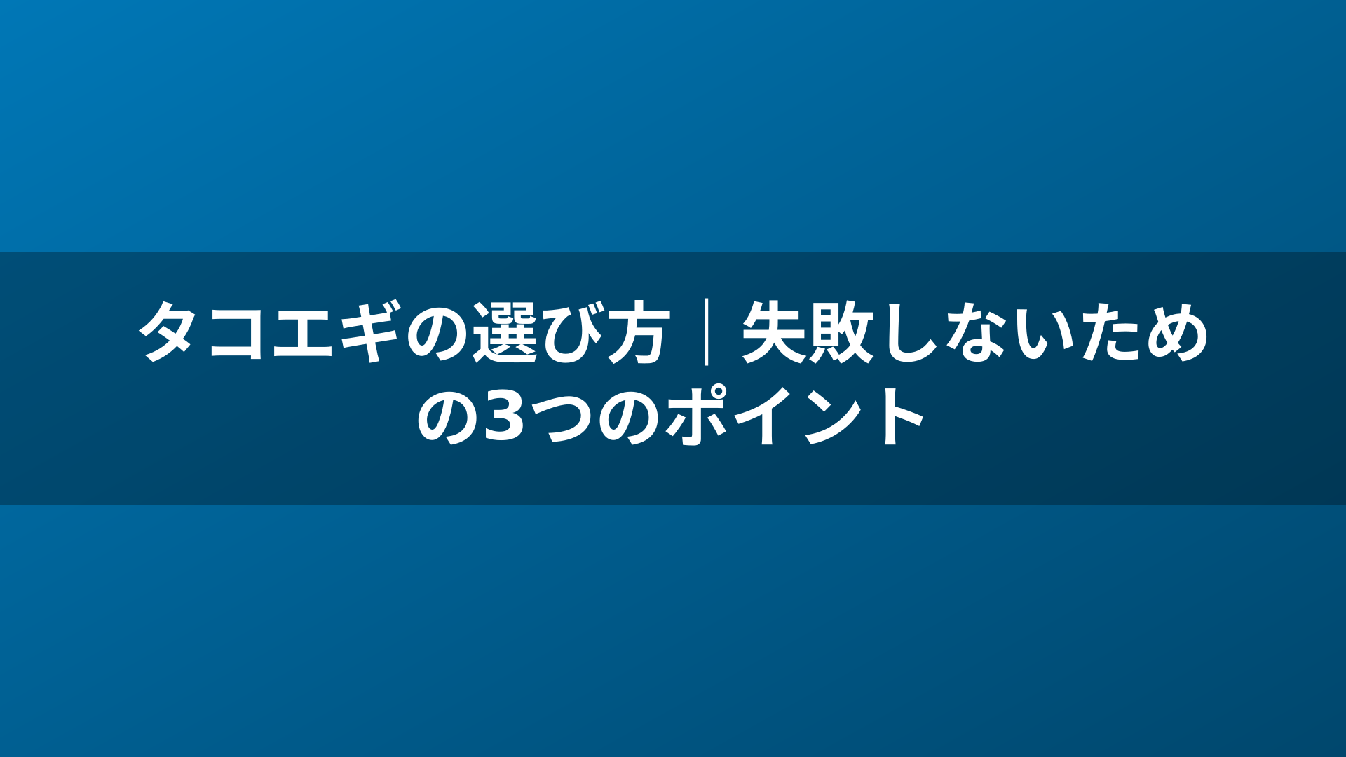タコエギの選び方|失敗しないための3つのポイント