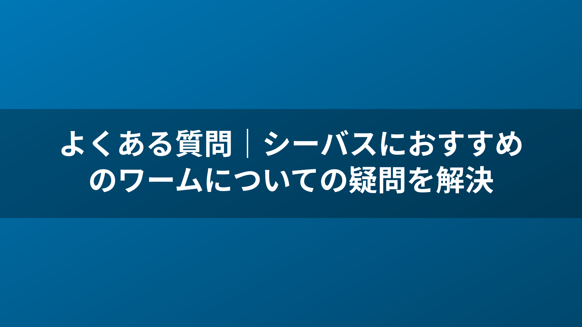 よくある質問｜シーバスにおすすめのワームについての疑問を解決