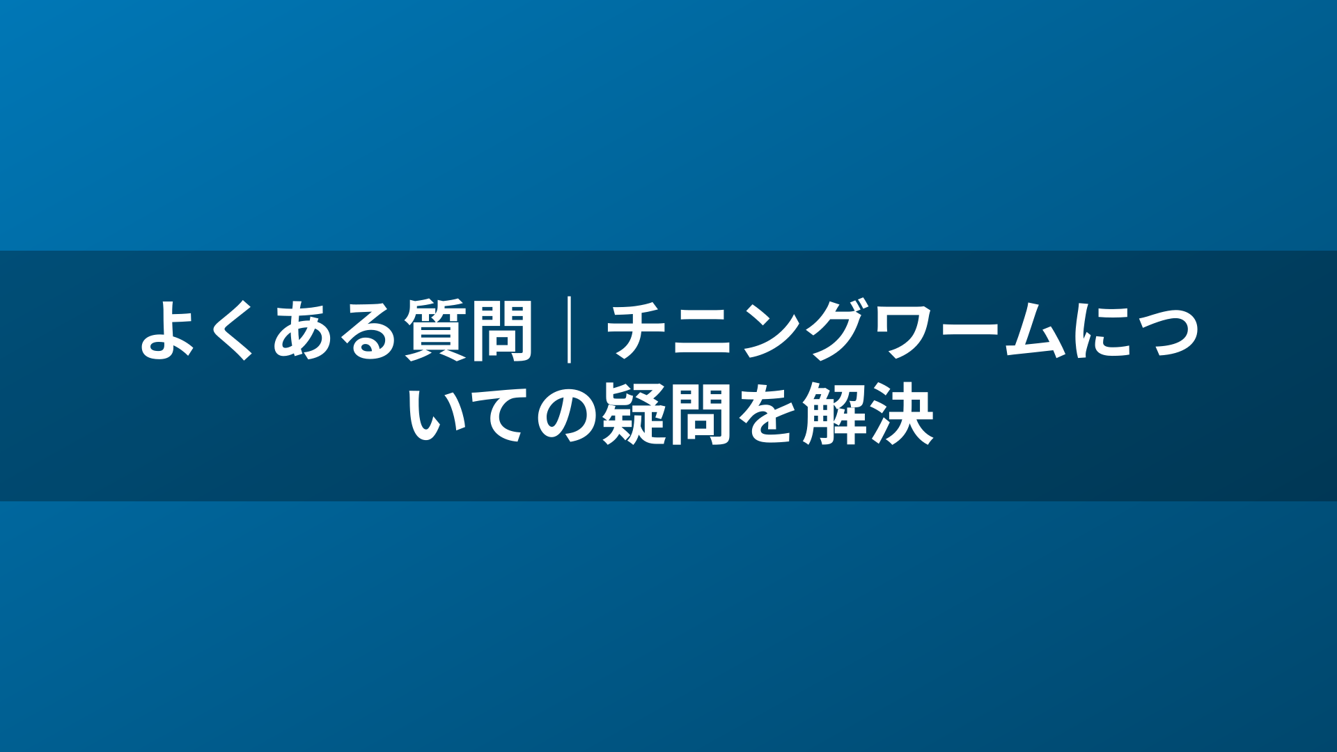 よくある質問|チニングワームについての疑問を解決