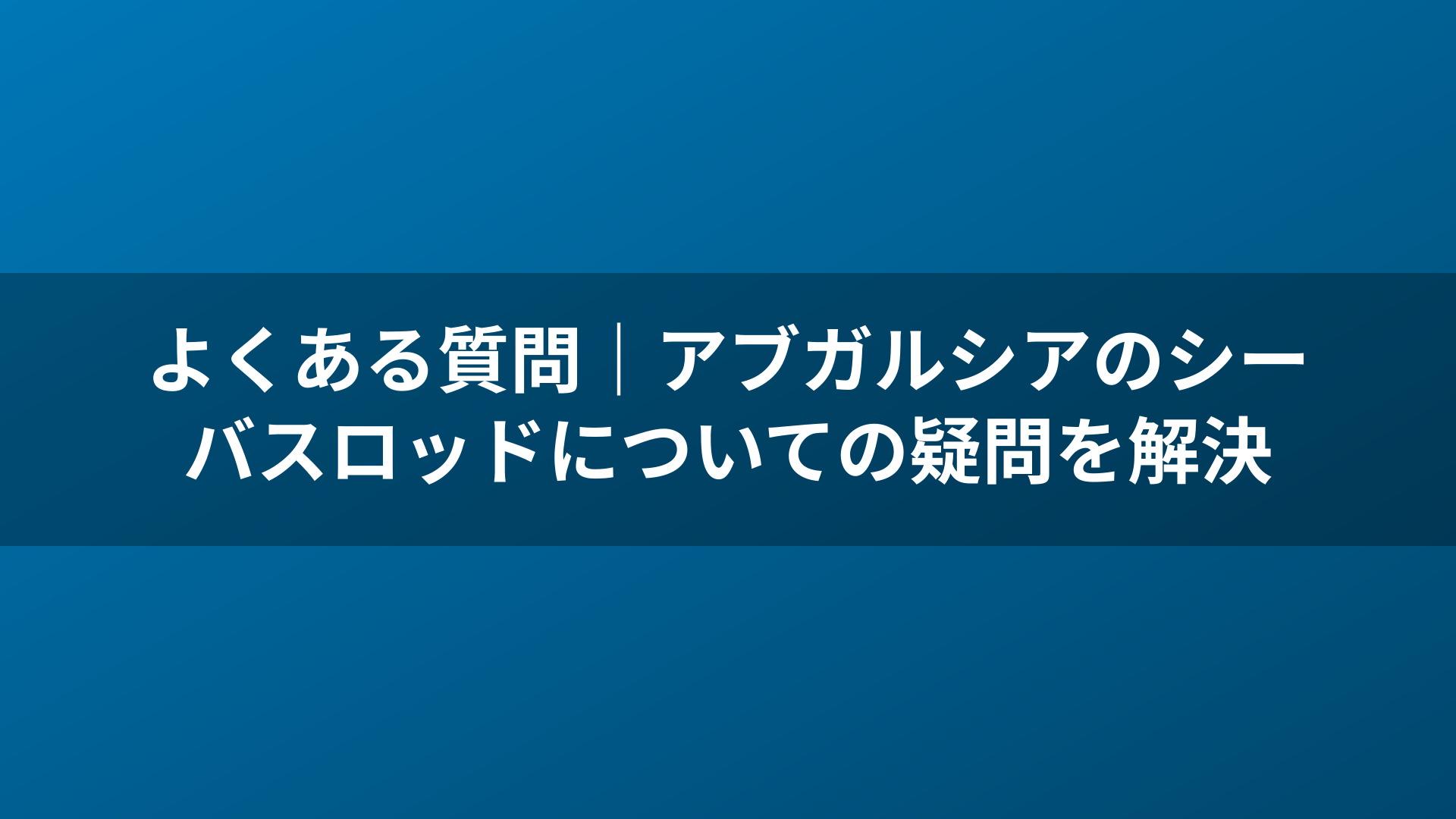 よくある質問|アブガルシアのシーバスロッドについての疑問を解決