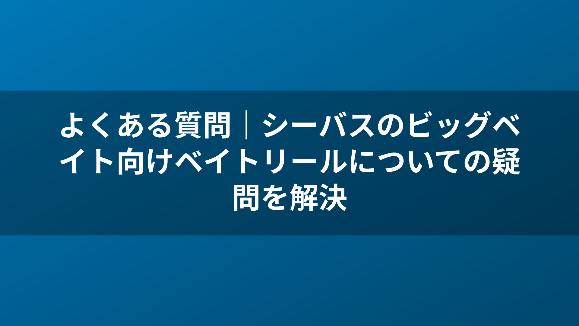 よくある質問|シーバスのビッグベイト向けベイトリールについての疑問を解決