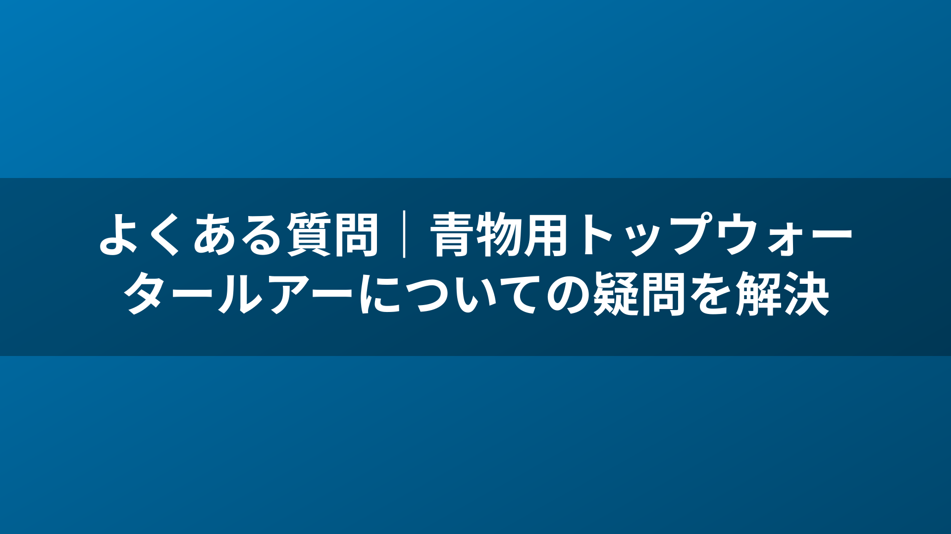 よくある質問|青物用トップウォータールアーについての疑問を解決