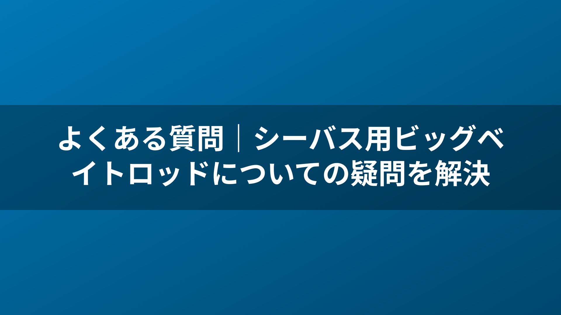 よくある質問｜シーバス用ビッグベイトロッドについての疑問を解決