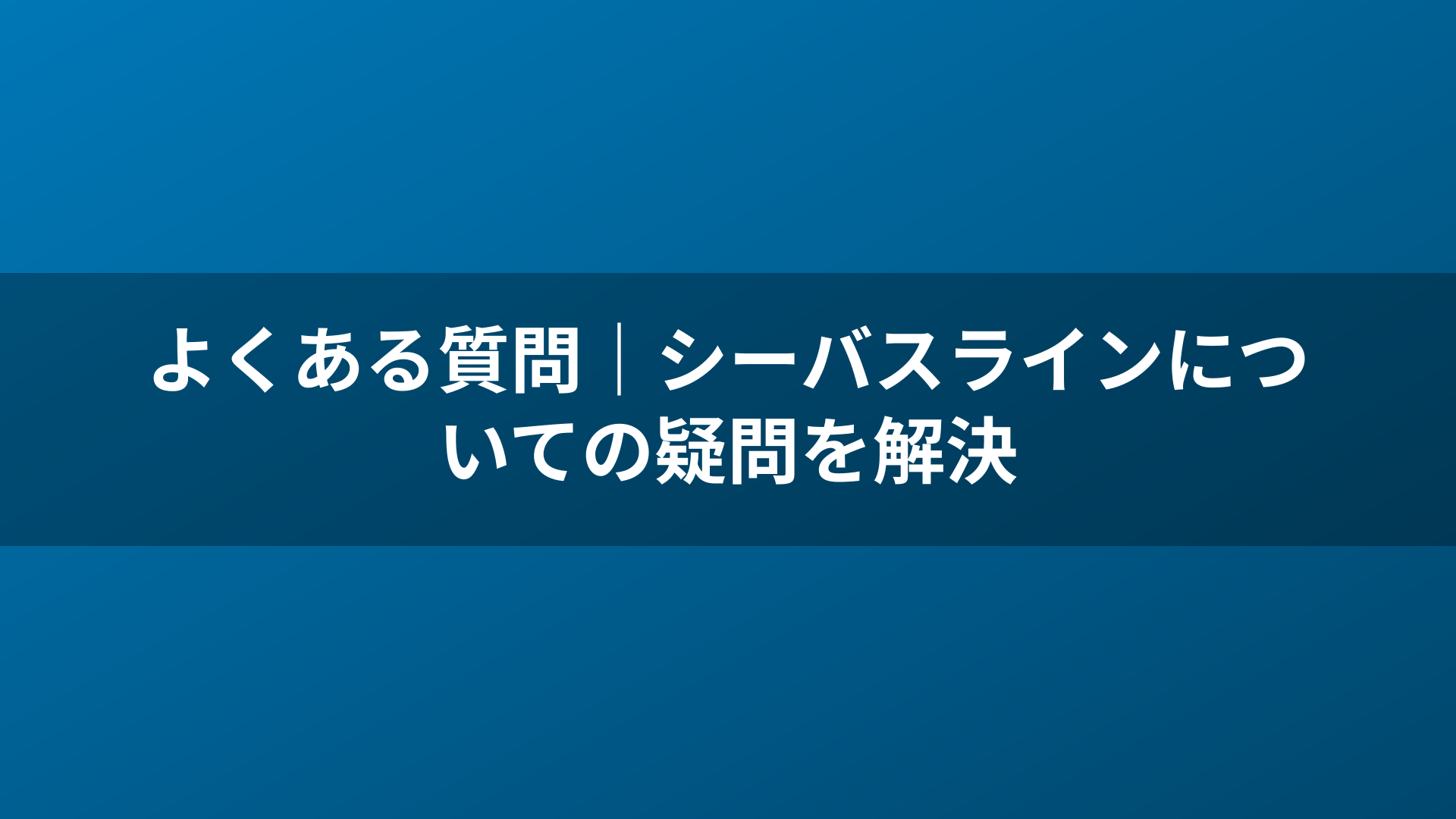 よくある質問｜シーバスラインについての疑問を解決