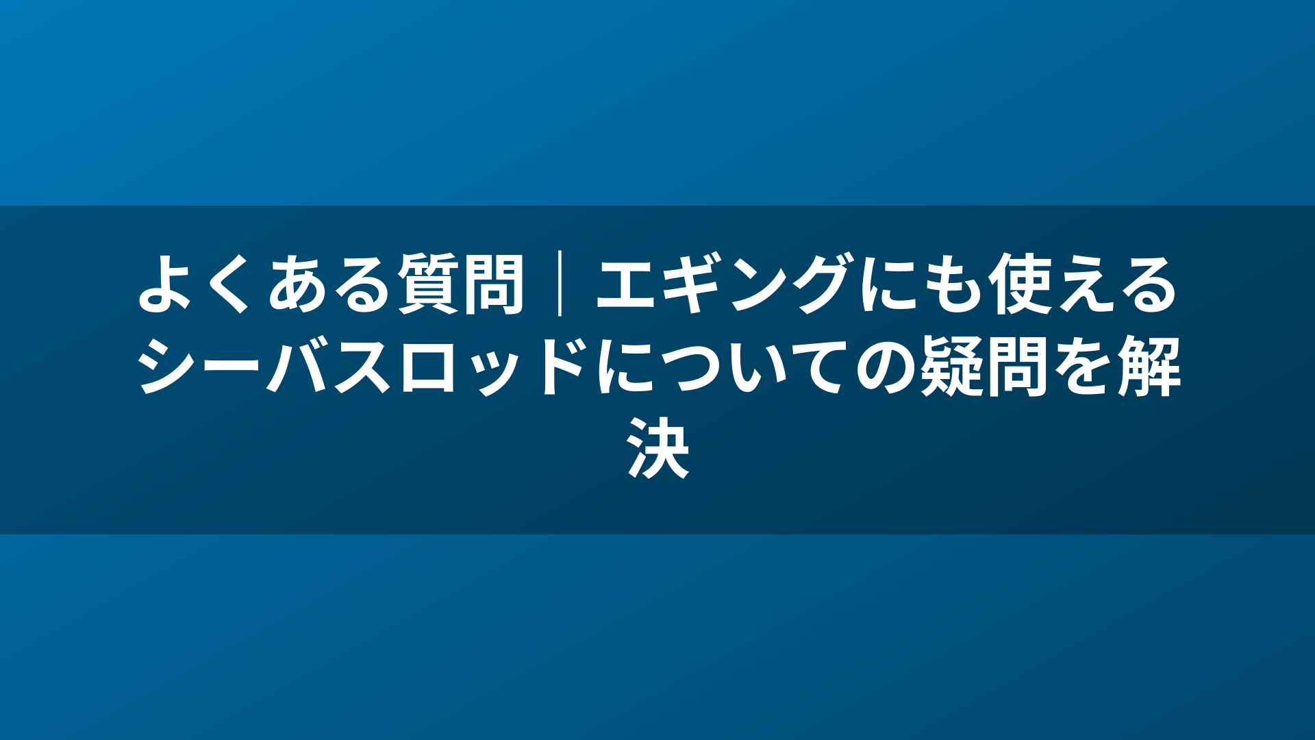 よくある質問｜エギングにも使えるシーバスロッドについての疑問を解決