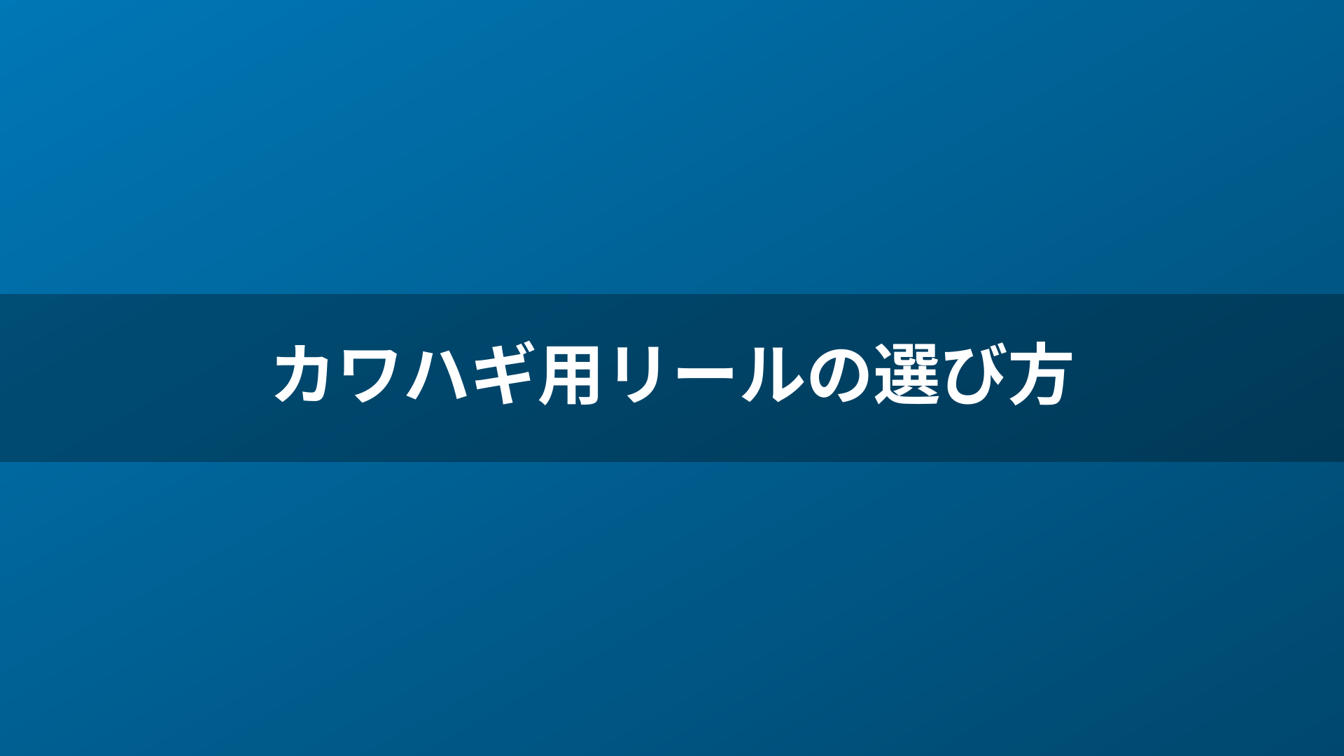 カワハギ用リールの選び方
