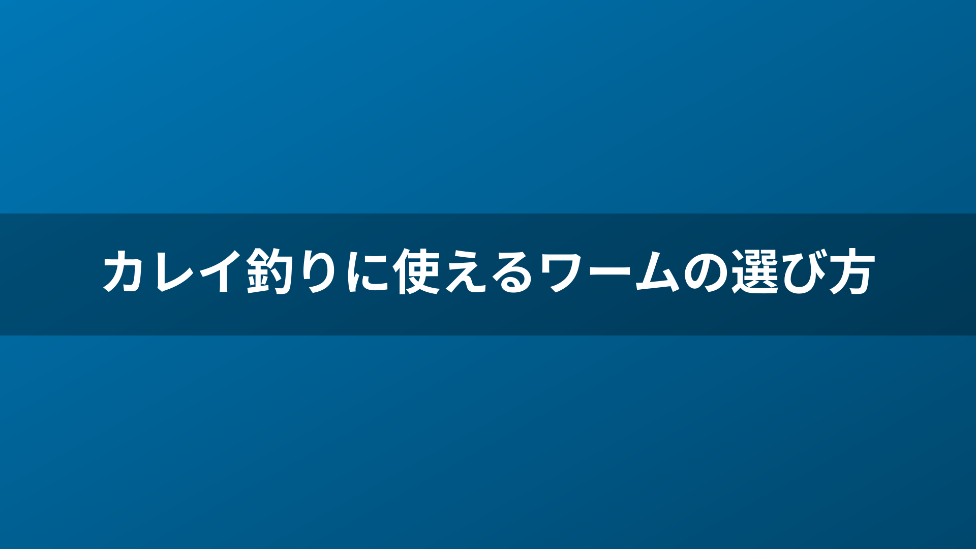 カレイ釣りに使えるワームの選び方
