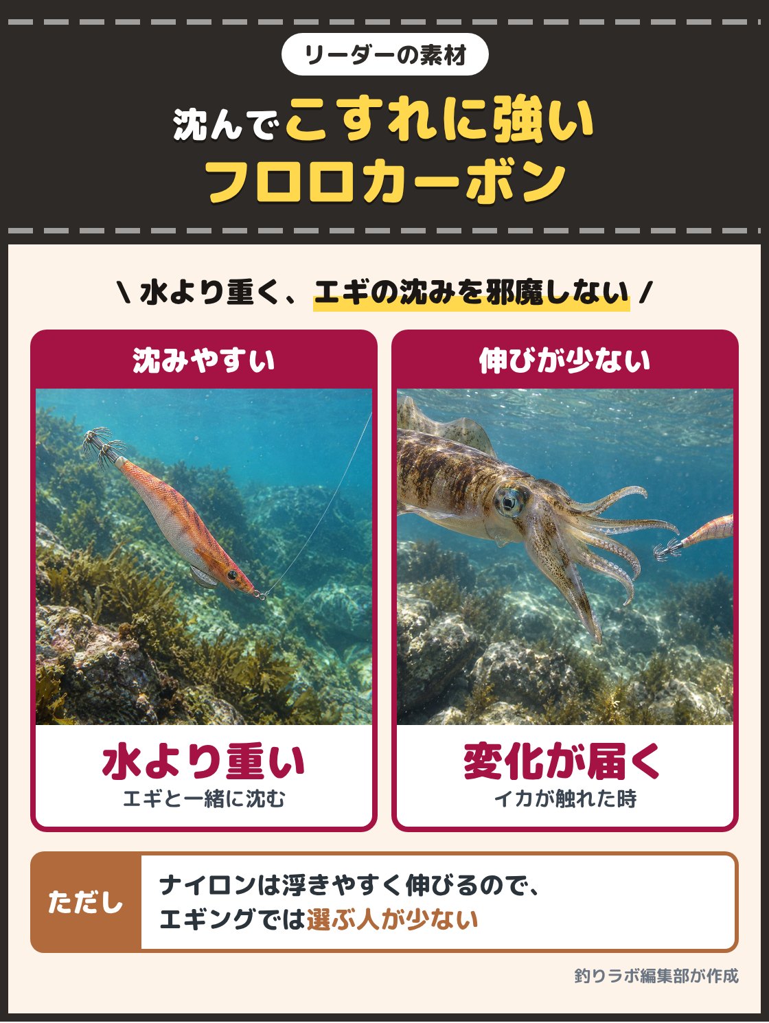 海の中を沈んでいくエギと透明なリーダー、エギに近づくアオリイカの写真。エギングのリーダーは、水より重く沈みやすく、こすれに強いフロロカーボンを選ぶ。ナイロンは水に浮きやすく伸びも大きい