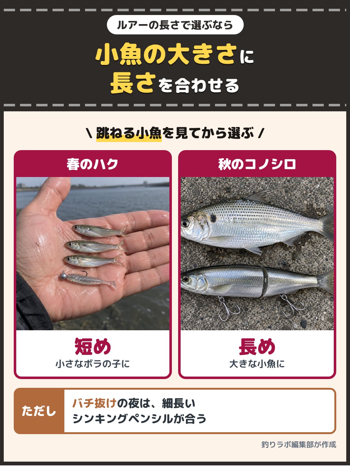手のひらに載せた小さなボラの子と短いルアー、大きなコノシロと長いルアーを並べた写真。ルアーの長さは、その日にシーバスが食べている小魚の大きさに近いものを選ぶ。春のハクの日は短め、秋のコノシロの日は長めが合う